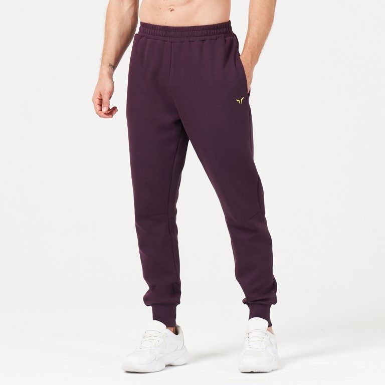 Lab360° DryLite Joggers - Plum Perfect